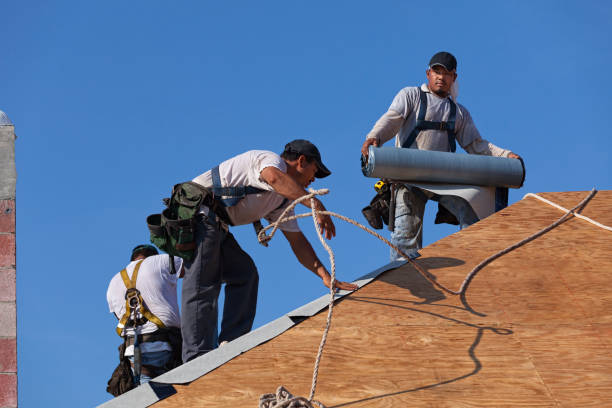 Best Flat Roof Repair Services  in Wmington, IL