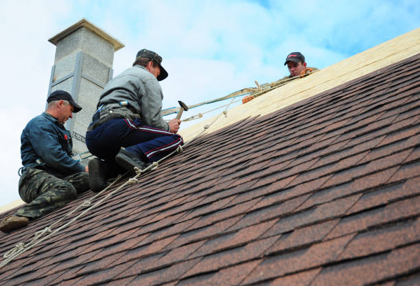 Best Storm Damage Roof Repair  in Wmington, IL