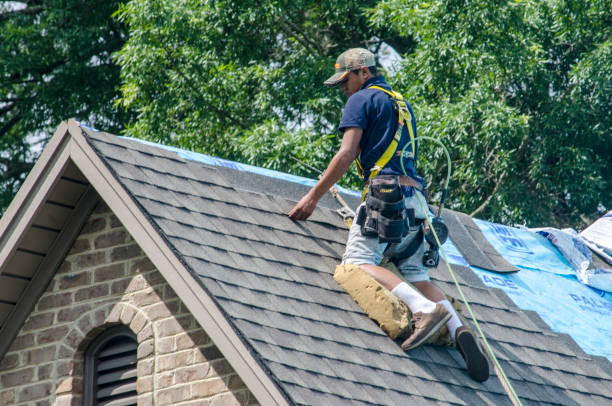 Best Roof Waterproofing Services  in Wmington, IL